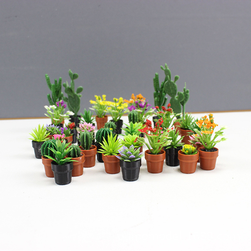 มินิจําลองพืชกระบองเพชรดอกไม้ฉ - Echeveria Succulent บทวิจารณ์และราคา