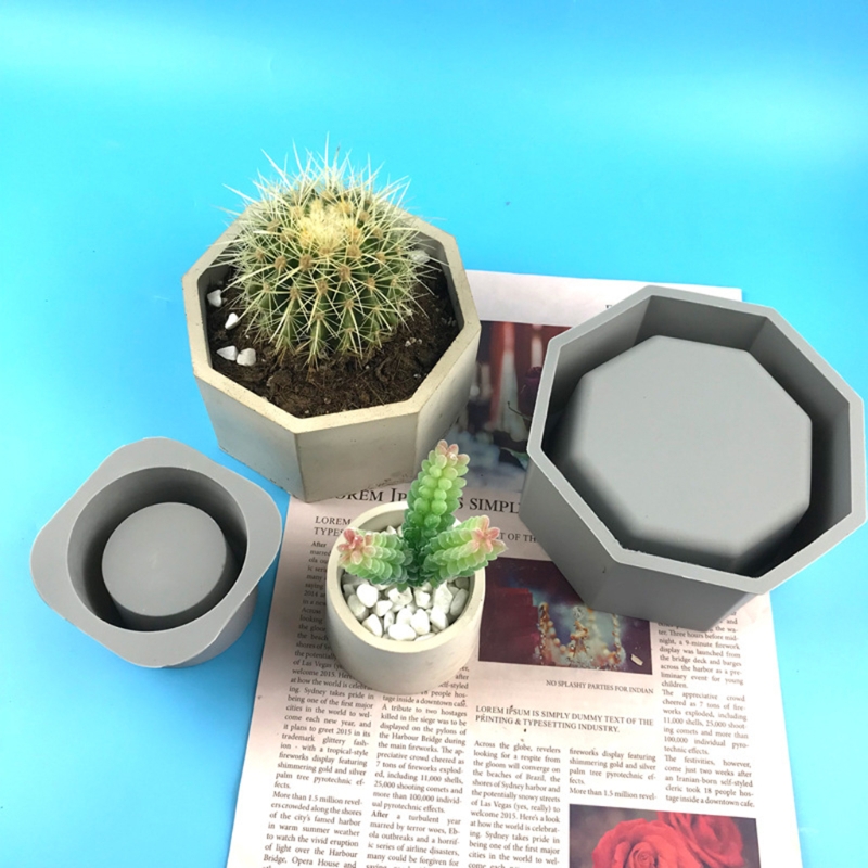 แม่พิมพ์ซิลิโคนกระถางต้นไม้อวบ - Echeveria Succulent บทวิจารณ์และราคา