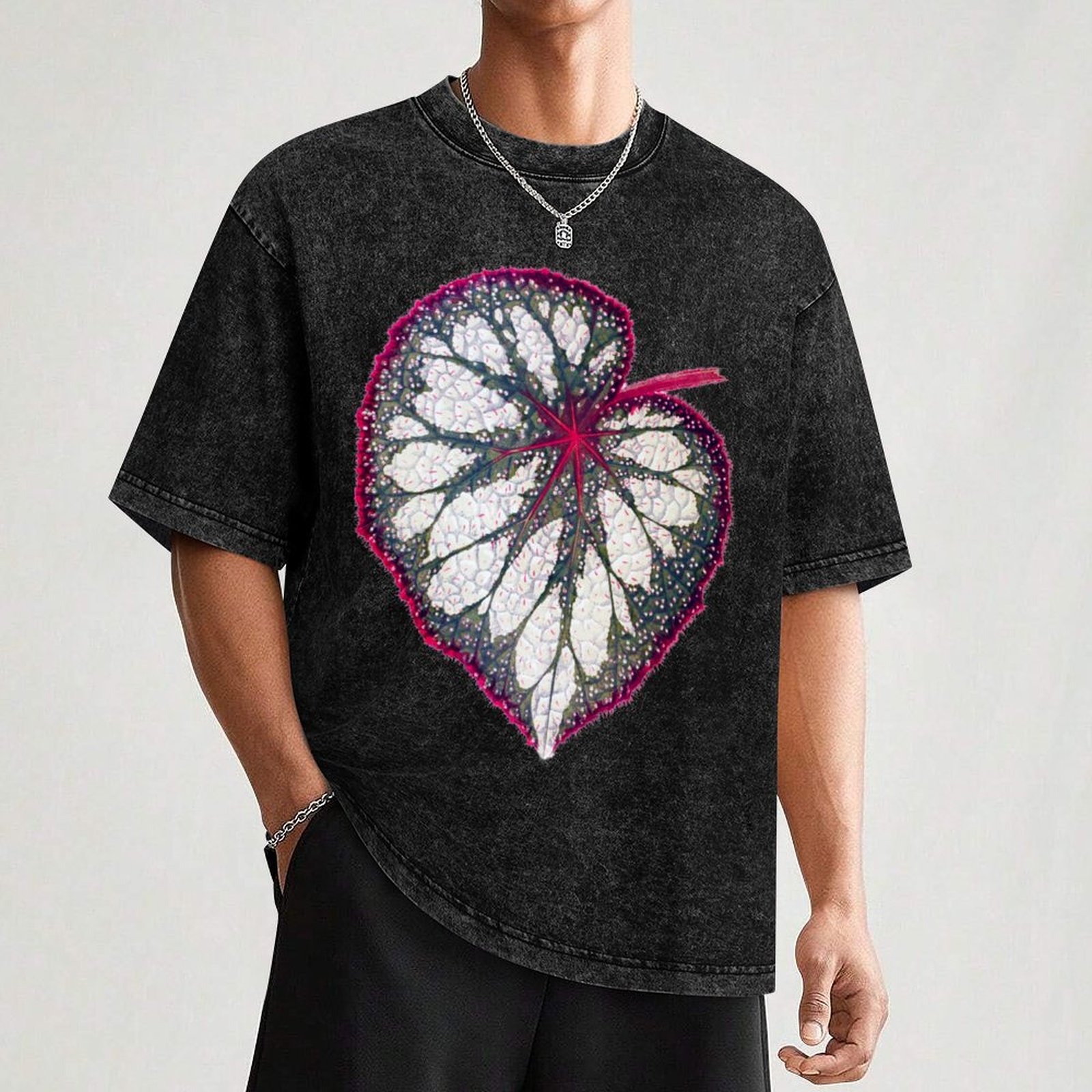 เสื้อยืดเบโกเนีย เร็กซ์ เสื้อย - Begonia Rex บทวิจารณ์และราคา
