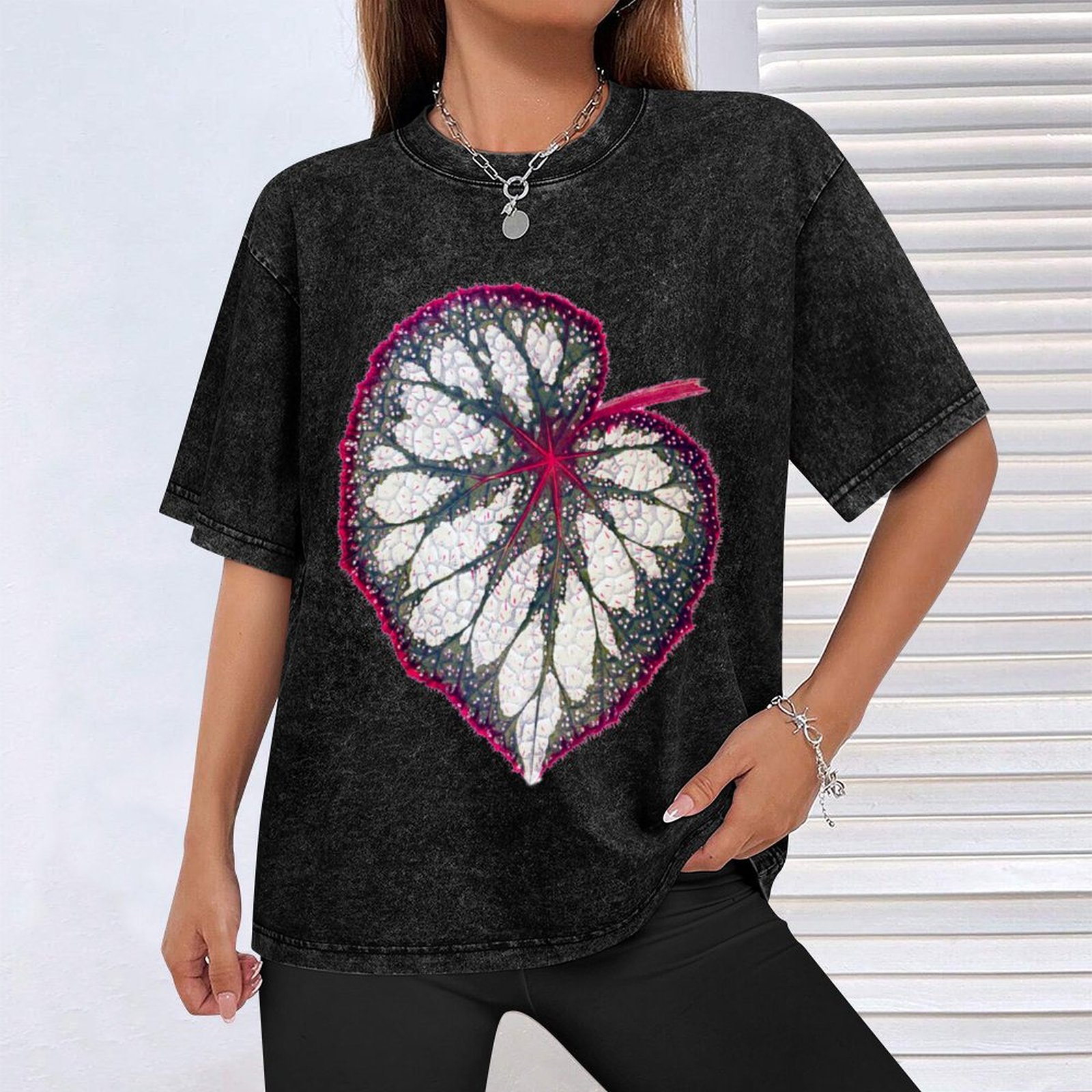 เสื้อยืดเบโกเนีย เร็กซ์ เสื้อย - Begonia Rex บทวิจารณ์และราคา