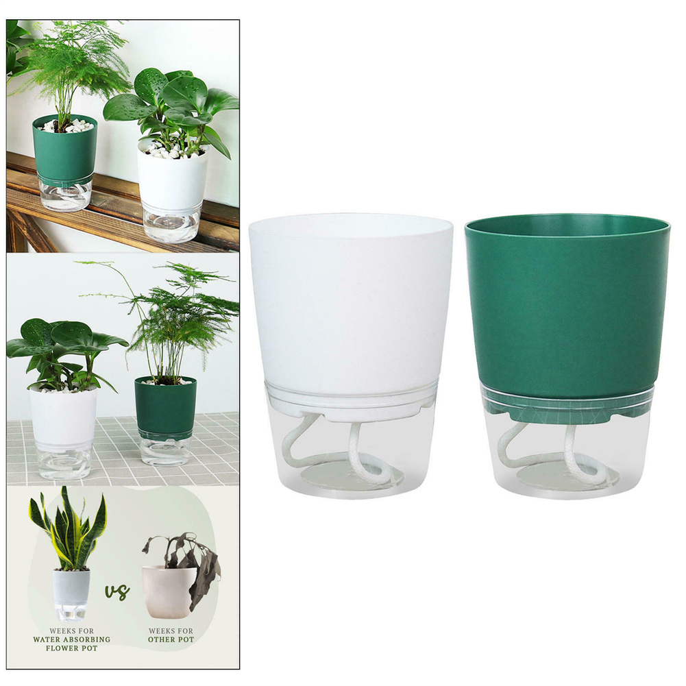 กระถางดอกไม้พลาสติกใสสองชั้นพร - Aloe Vera Pot บทวิจารณ์และราคา
