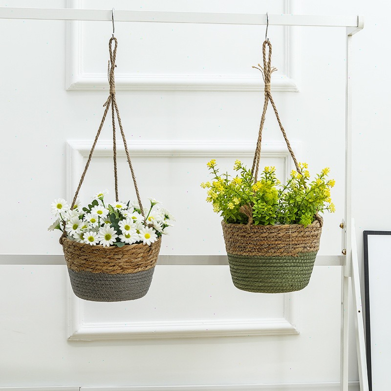 กระถางแขวนทำจากเชือกป่าน กระถา - Spider Plant Hanging บทวิจารณ์และราคา