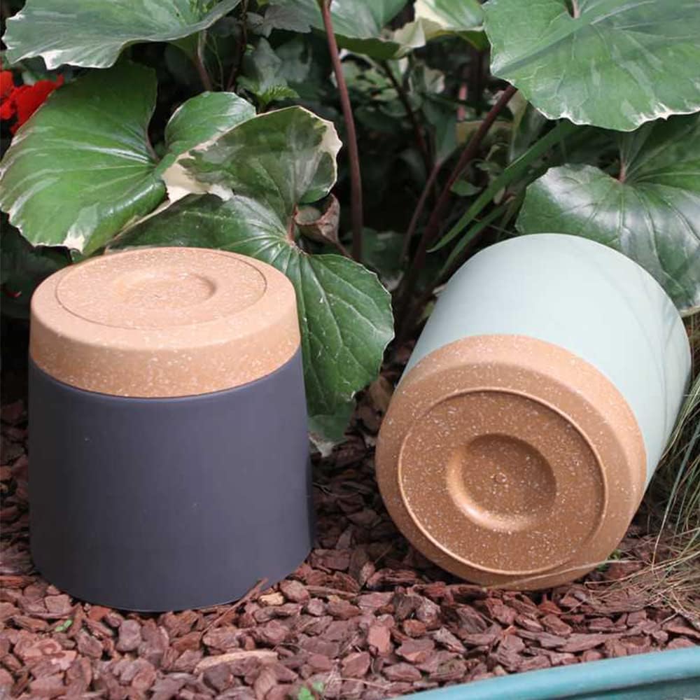 กระถางต้นไม้ กระถางต้นไม้ขนาดใ - Aloe Vera Pot บทวิจารณ์และราคา