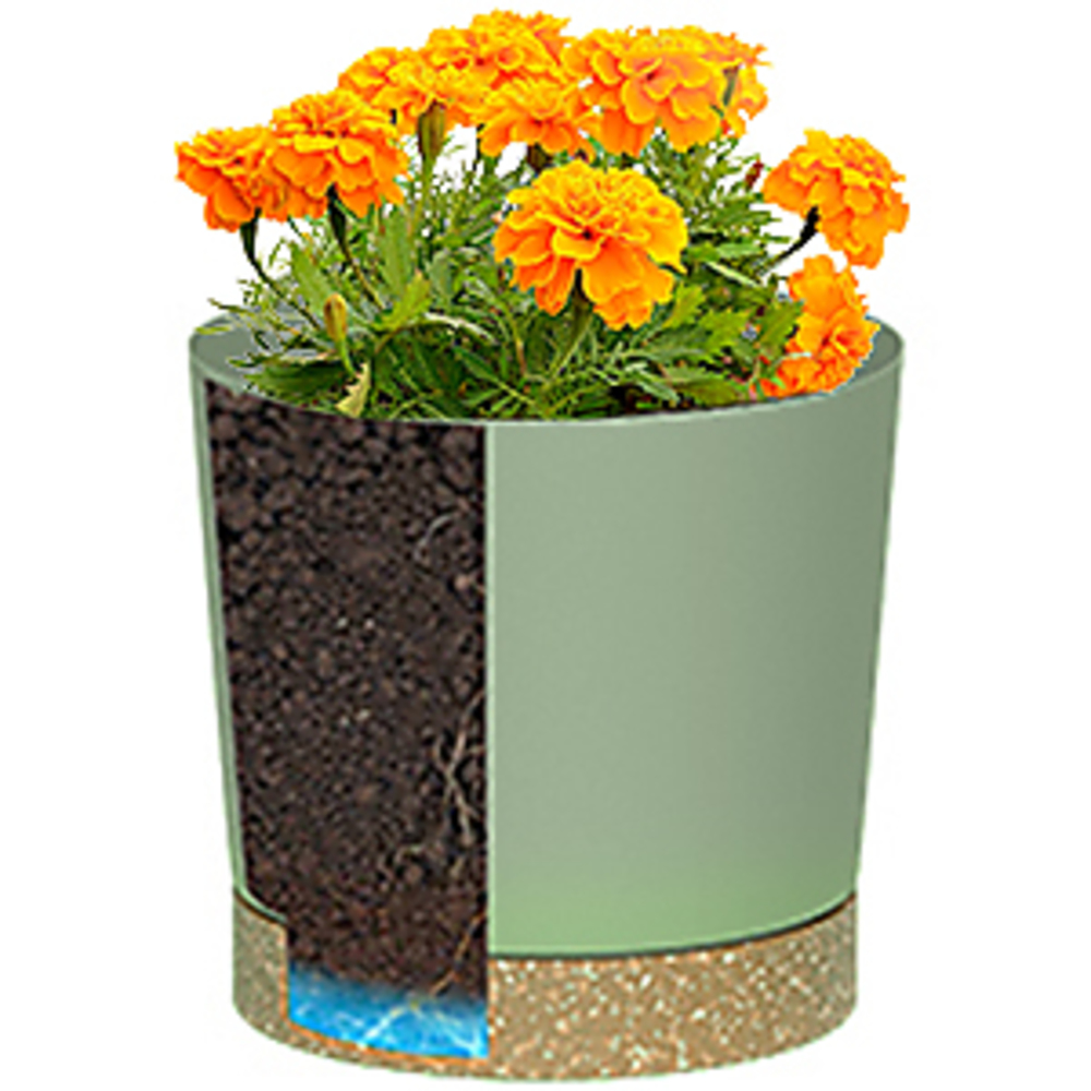 กระถางต้นไม้ กระถางต้นไม้ขนาดใ - Aloe Vera Pot บทวิจารณ์และราคา