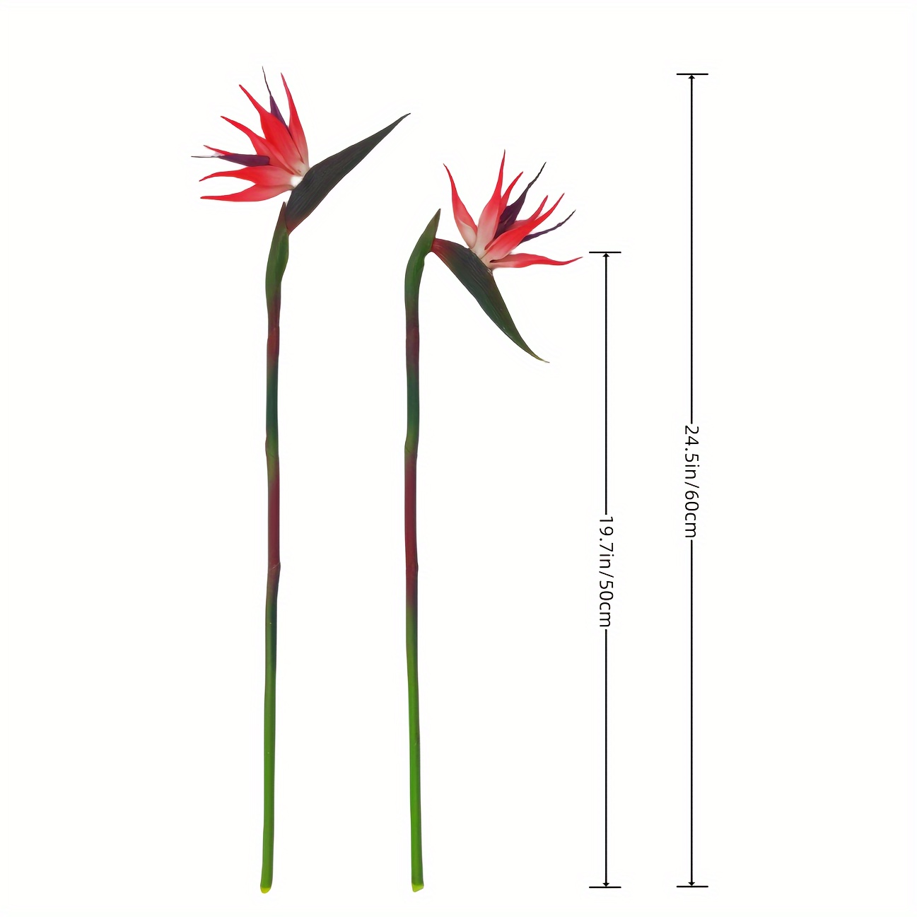 ดอกไม้ประดิษฐ์ Bird Of Paradis - Bird Paradise Strelitzia บทวิจารณ์และราคา