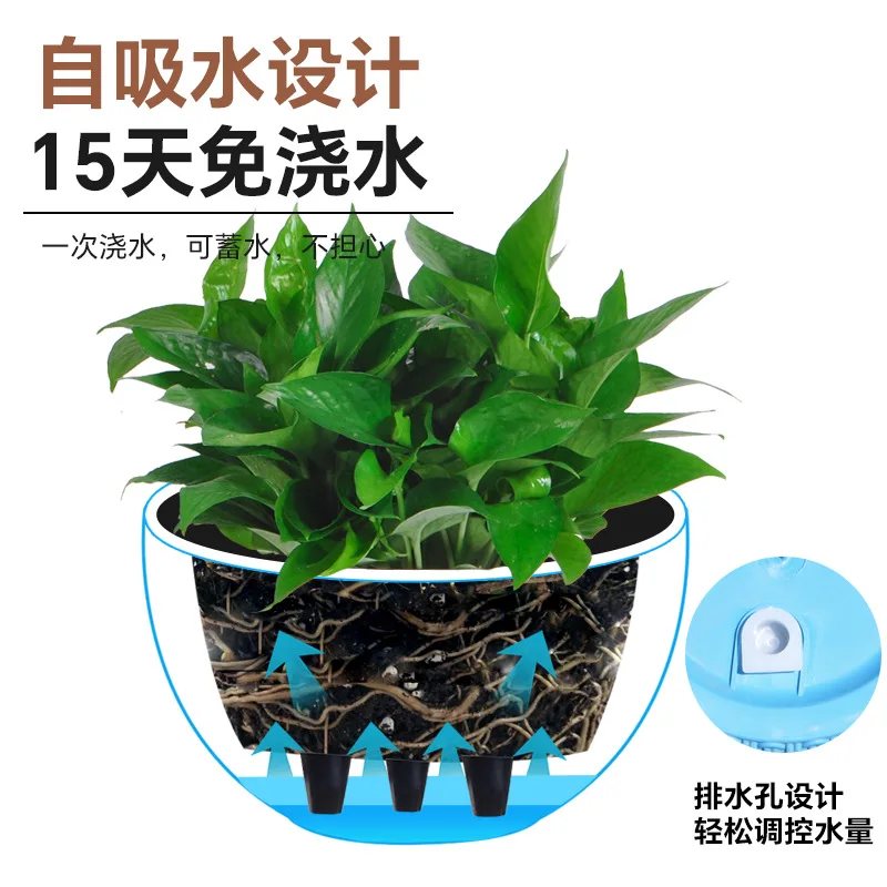 กระถางแขวนปลอมลายหวายแบบใหม่เร - Spider Plant Hanging บทวิจารณ์และราคา