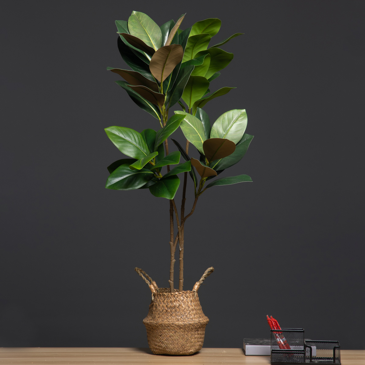 105 ซม.2 ส้อมขนาดใหญ่พืชประดิษ - Dracaena Marginata บทวิจารณ์และราคา