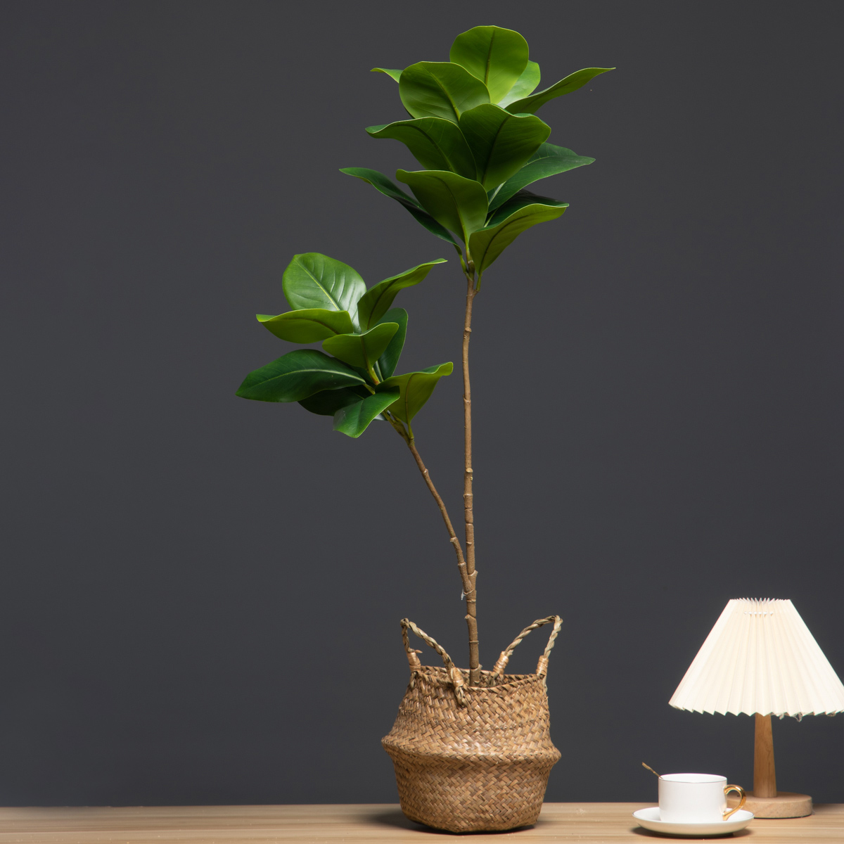105 ซม.2 ส้อมขนาดใหญ่พืชประดิษ - Dracaena Marginata บทวิจารณ์และราคา