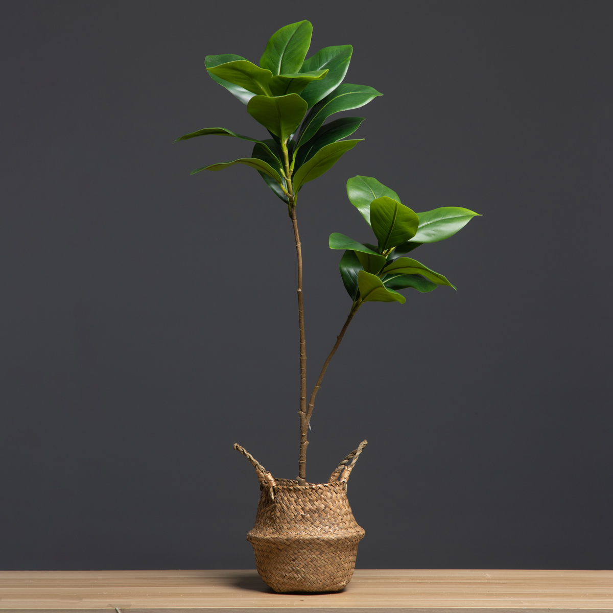 105 ซม.2 ส้อมขนาดใหญ่พืชประดิษ - Dracaena Marginata บทวิจารณ์และราคา