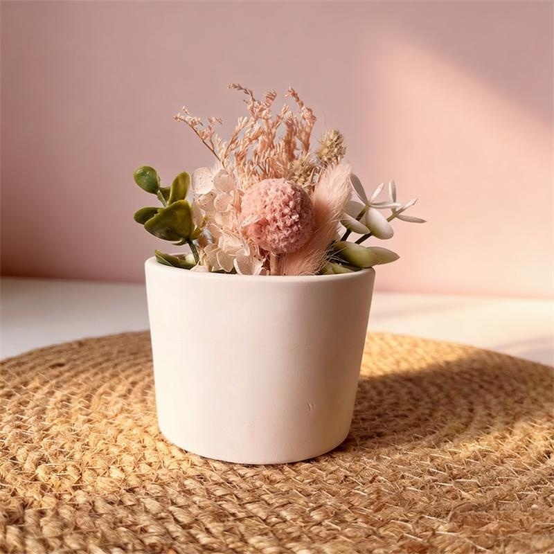 แม่พิมพ์ซิลิโคนสำหรับทำกระถางป - Echeveria Succulent บทวิจารณ์และราคา