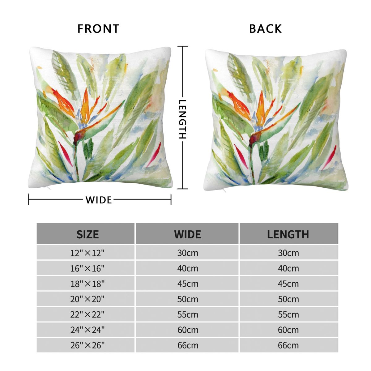 Bird Of Paradise Strelitzia ปล - Bird Paradise Strelitzia บทวิจารณ์และราคา