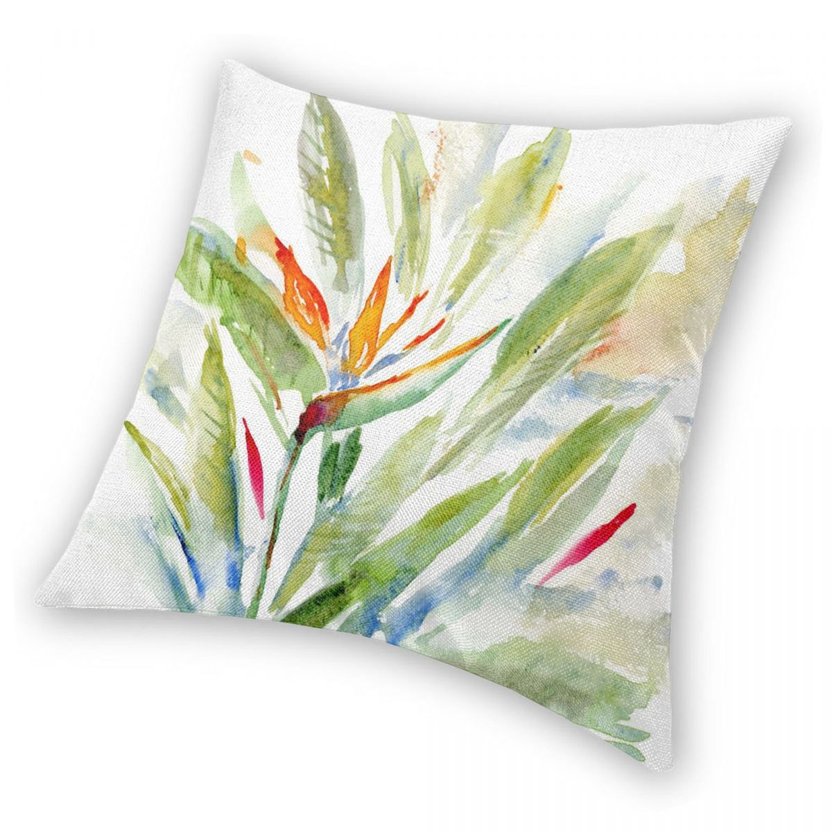 Bird Of Paradise Strelitzia ปล - Bird Paradise Strelitzia บทวิจารณ์และราคา