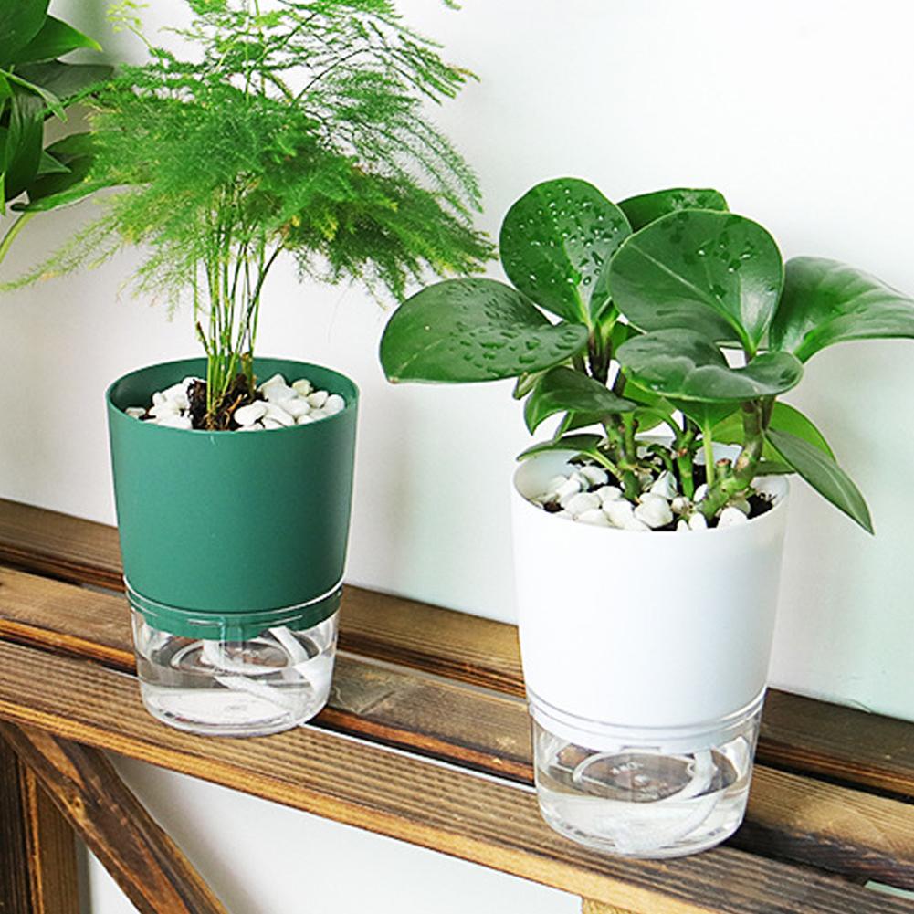 กระถางดอกไม้พลาสติกแบบรดน้ำเอง - Aloe Vera Pot บทวิจารณ์และราคา