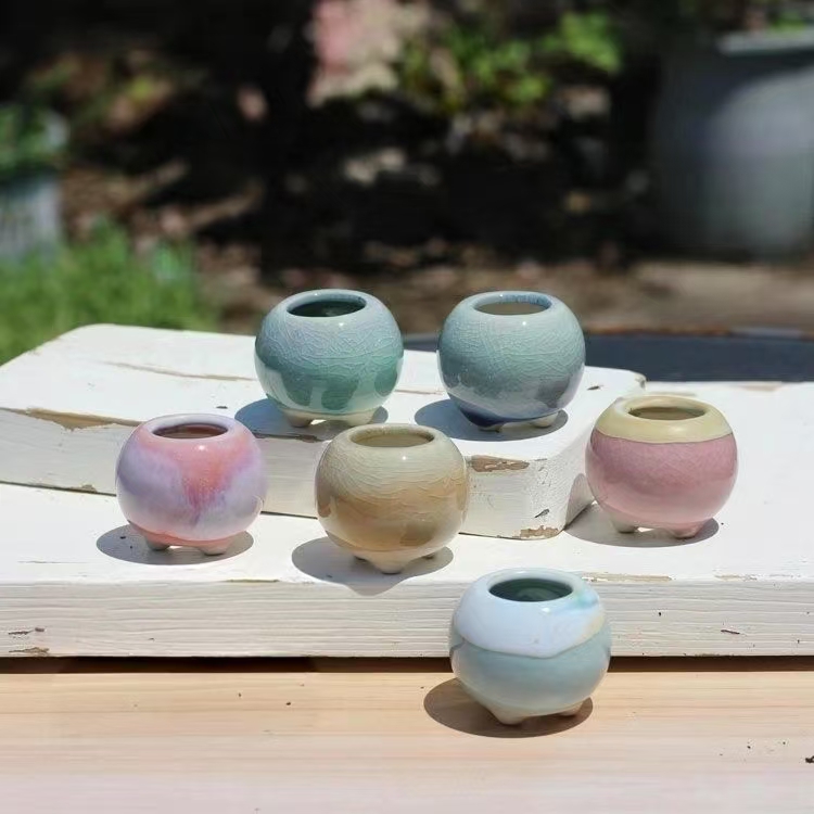 6 ชิ้น Mini กระถางดอกไม้ Succu - Echeveria Succulent บทวิจารณ์และราคา