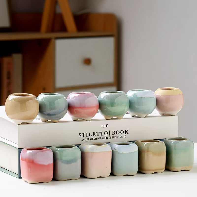 6 ชิ้น Mini กระถางดอกไม้ Succu - Echeveria Succulent บทวิจารณ์และราคา