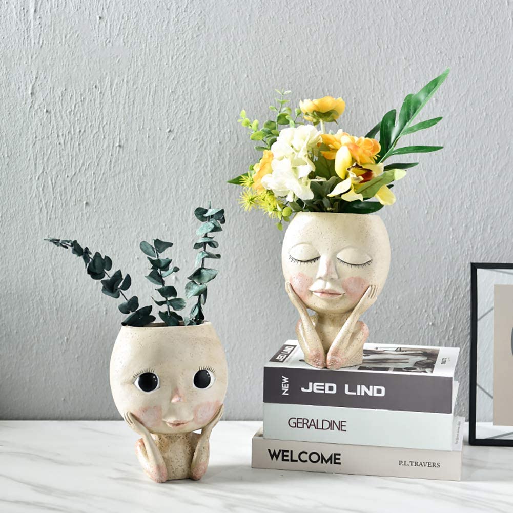 สาวหน้าหัวดอกไม้,พืช Succulent - Echeveria Succulent บทวิจารณ์และราคา