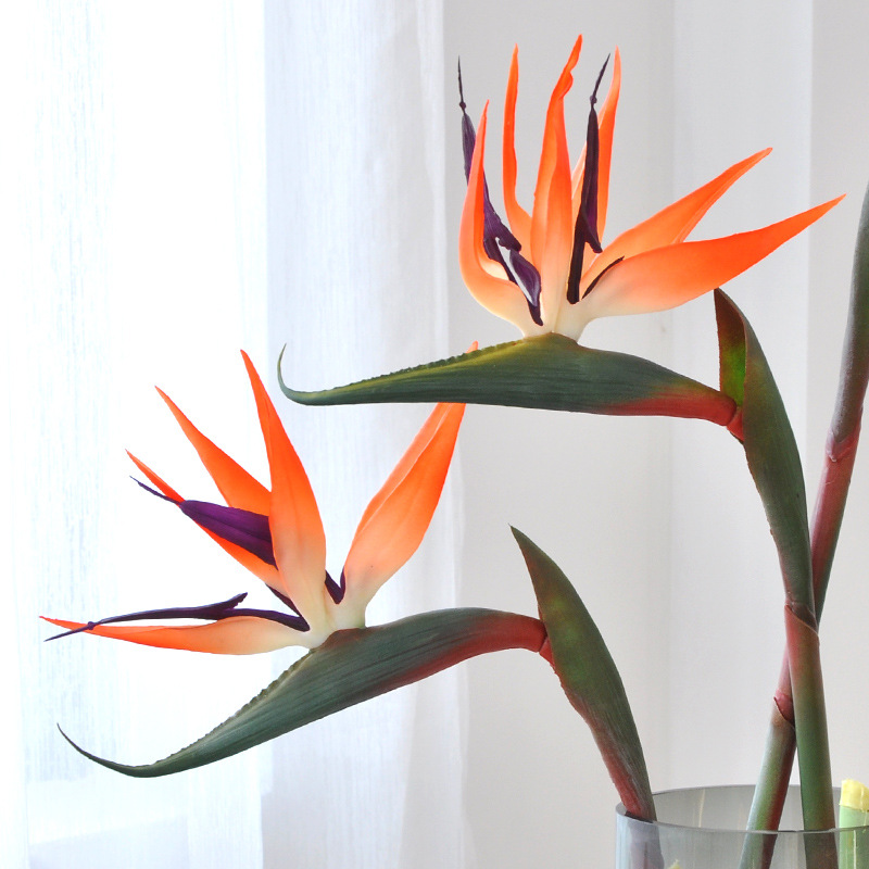 ดอกไม้ประดิษฐ์ Bird Of Paradis - Bird Paradise Strelitzia บทวิจารณ์และราคา