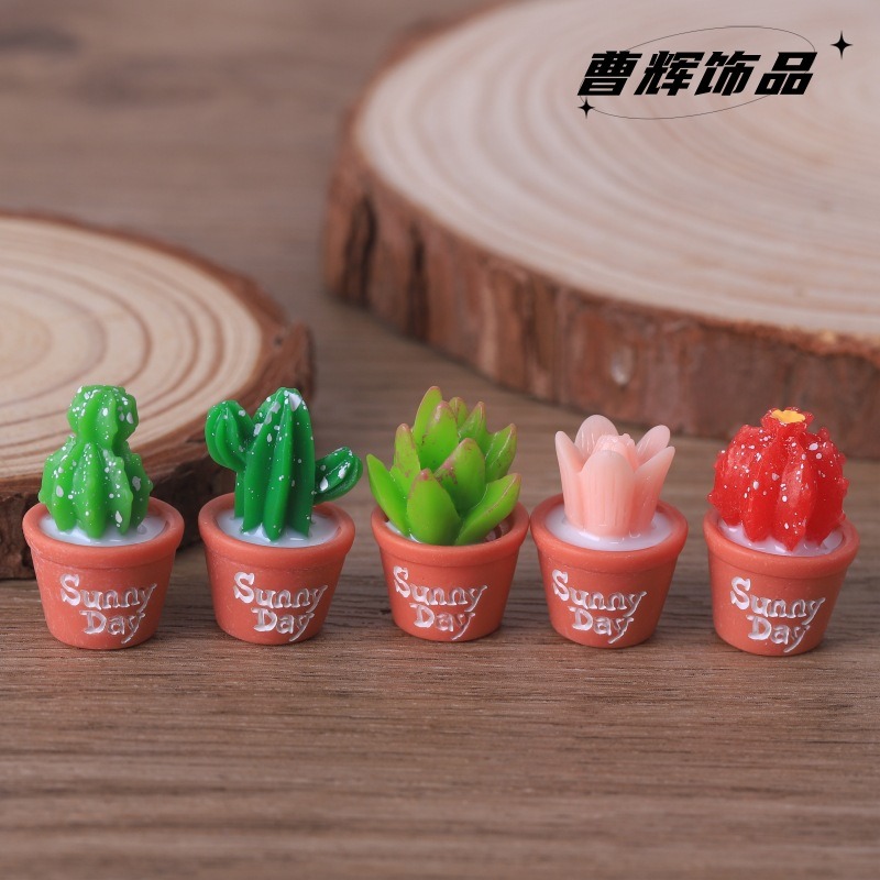 ต้นไม้จำลองแบบไม้อวบน้ำ 5 ชิ้น - Echeveria Succulent บทวิจารณ์และราคา