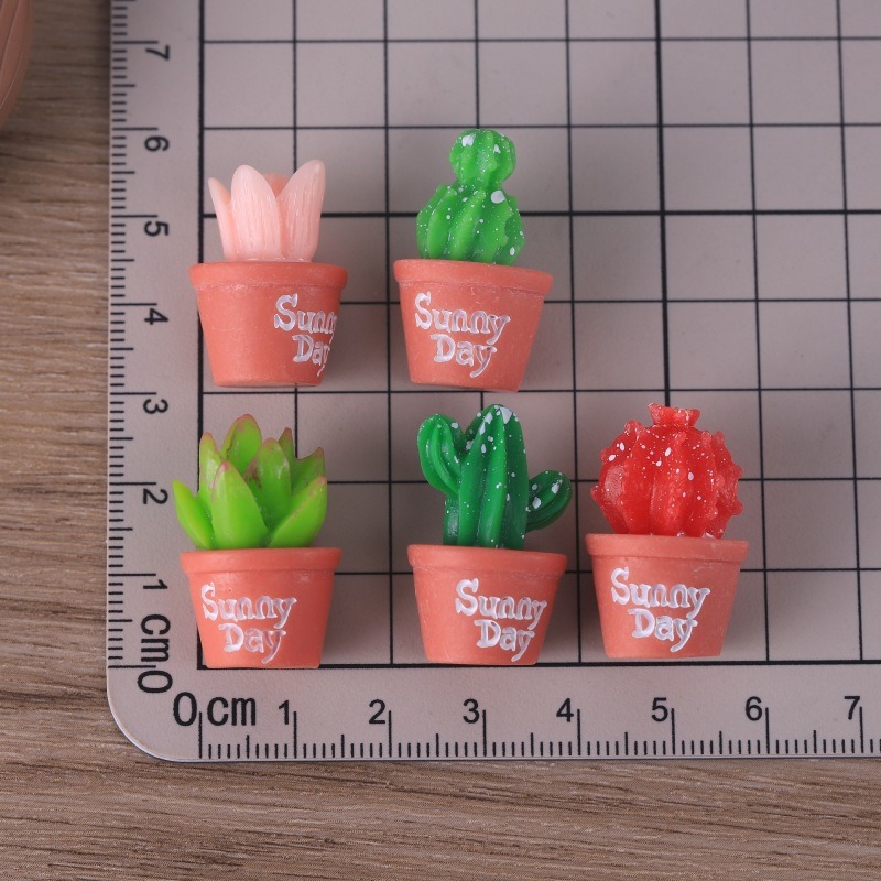 ต้นไม้จำลองแบบไม้อวบน้ำ 5 ชิ้น - Echeveria Succulent บทวิจารณ์และราคา