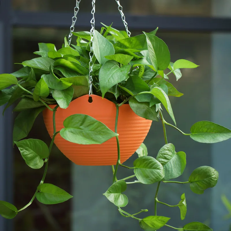 กระถางแขวนพลาสติก, กระถางปลูกต - Spider Plant Hanging บทวิจารณ์และราคา